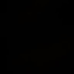 Meet your Posher, George